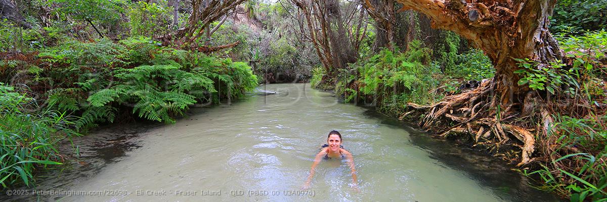 Peter Bellingham Photography Eli Creek - Fraser Island - QLD (PB5D 00 U3A0976)